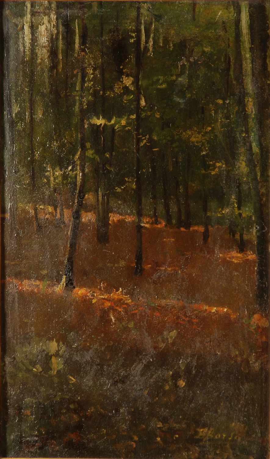 Bosco